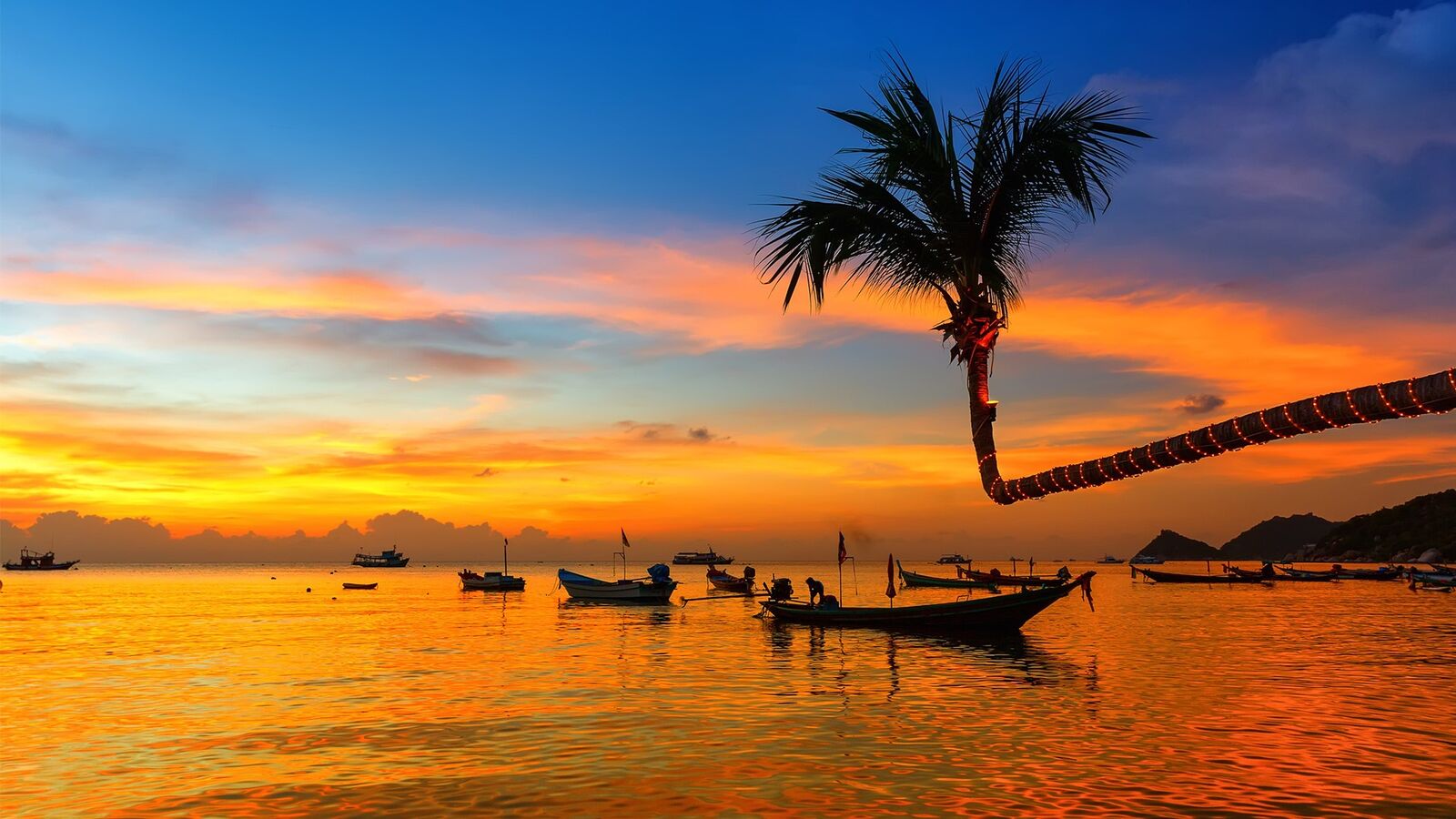 Thailand beach and palm trees